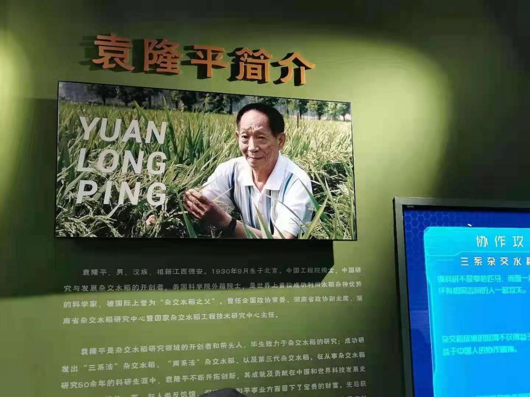 成人影院
师生悼念袁隆平院士：巨星陨落，精神长存！